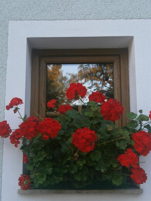 Haus Schober Apartment Уиндишгарстен Екстериор снимка
